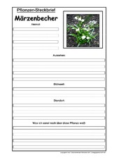Pflanzensteckbrief-Märzenbecher.pdf